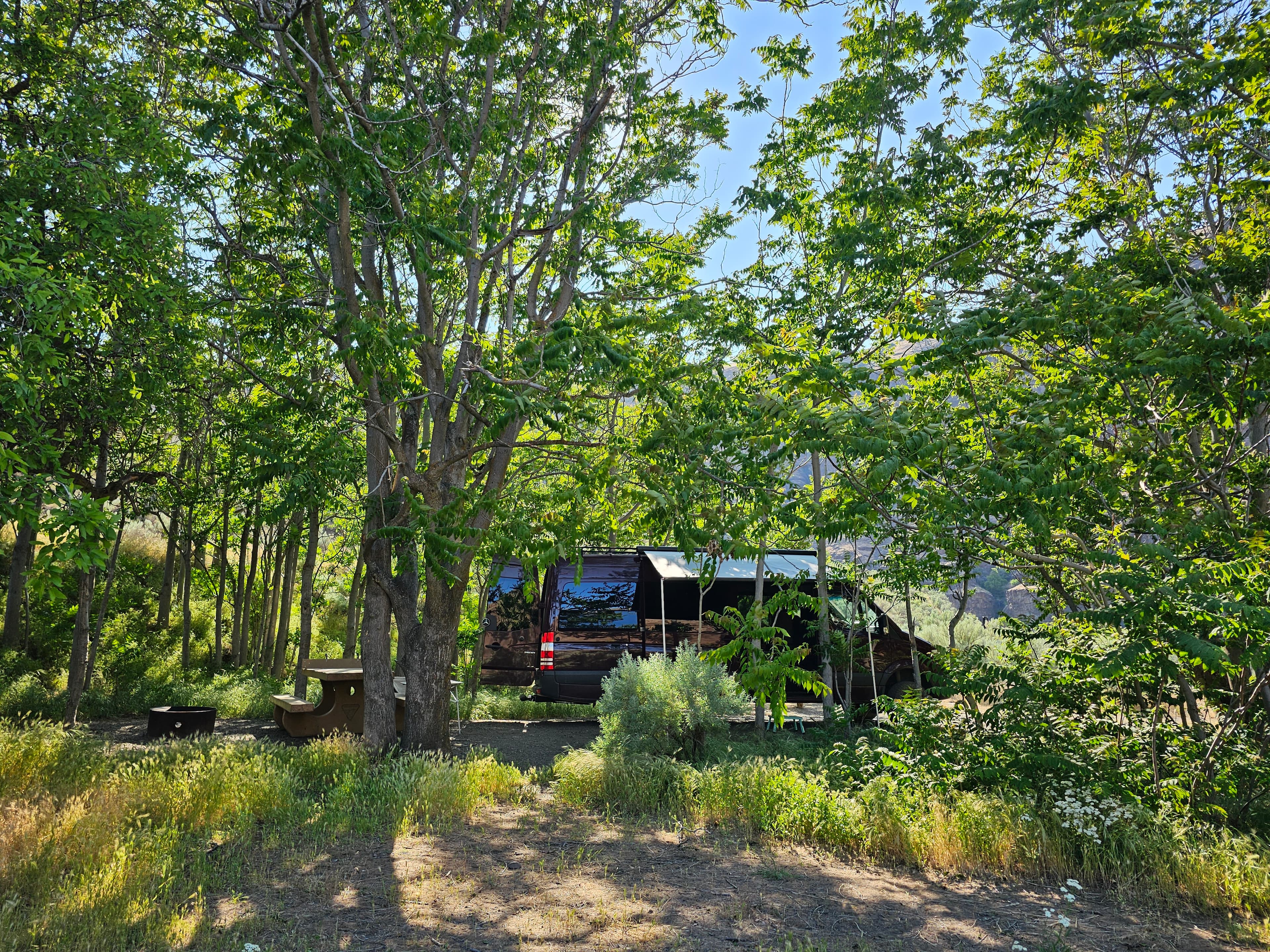Shady campsite at Beavertail Campground.