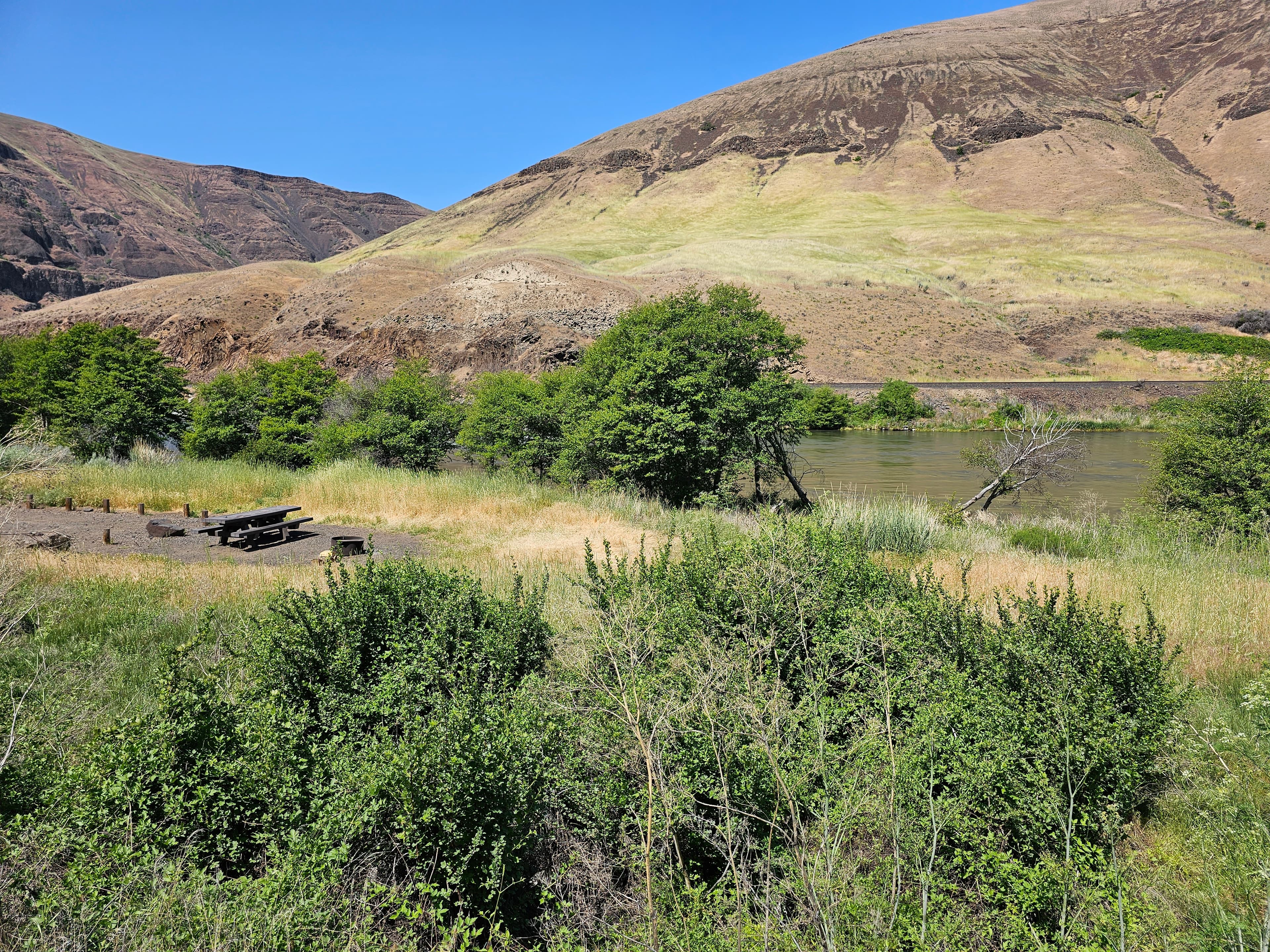 Campsite 10 at Jones Canyon Campground