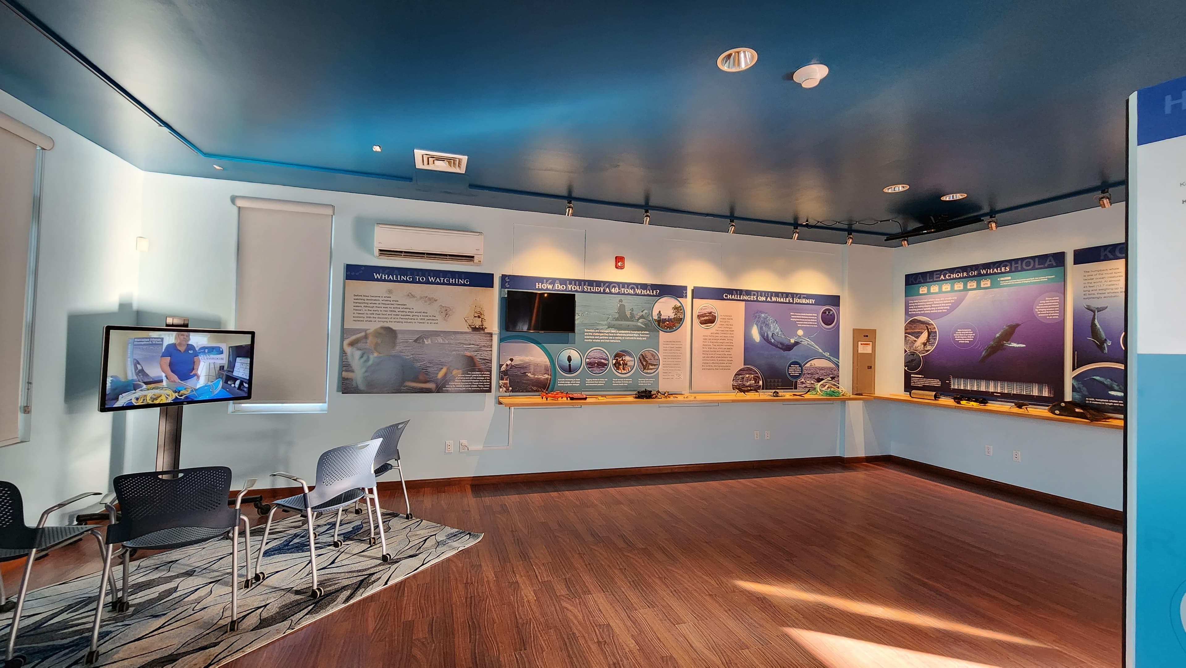 Hawaiian Islands Humpback Whale Kihei Visitor Center