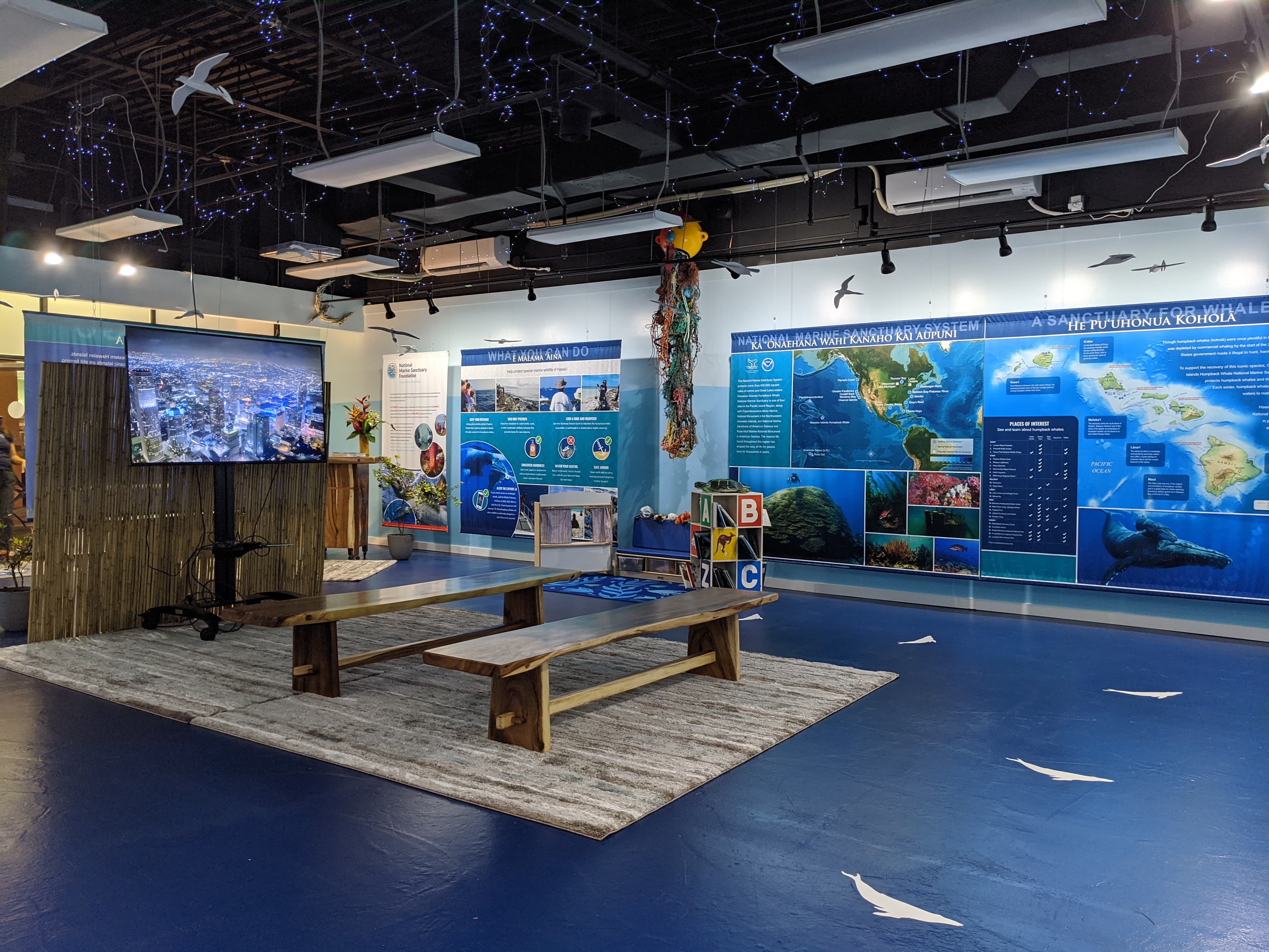 Kaua'i Ocean Discovery