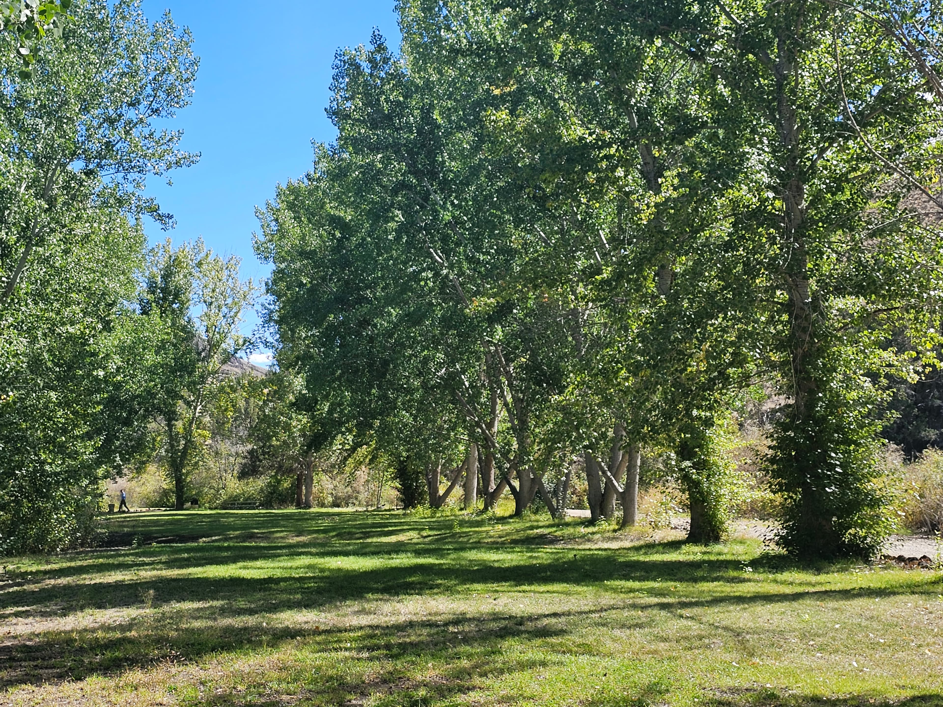 Inside the main campground loop