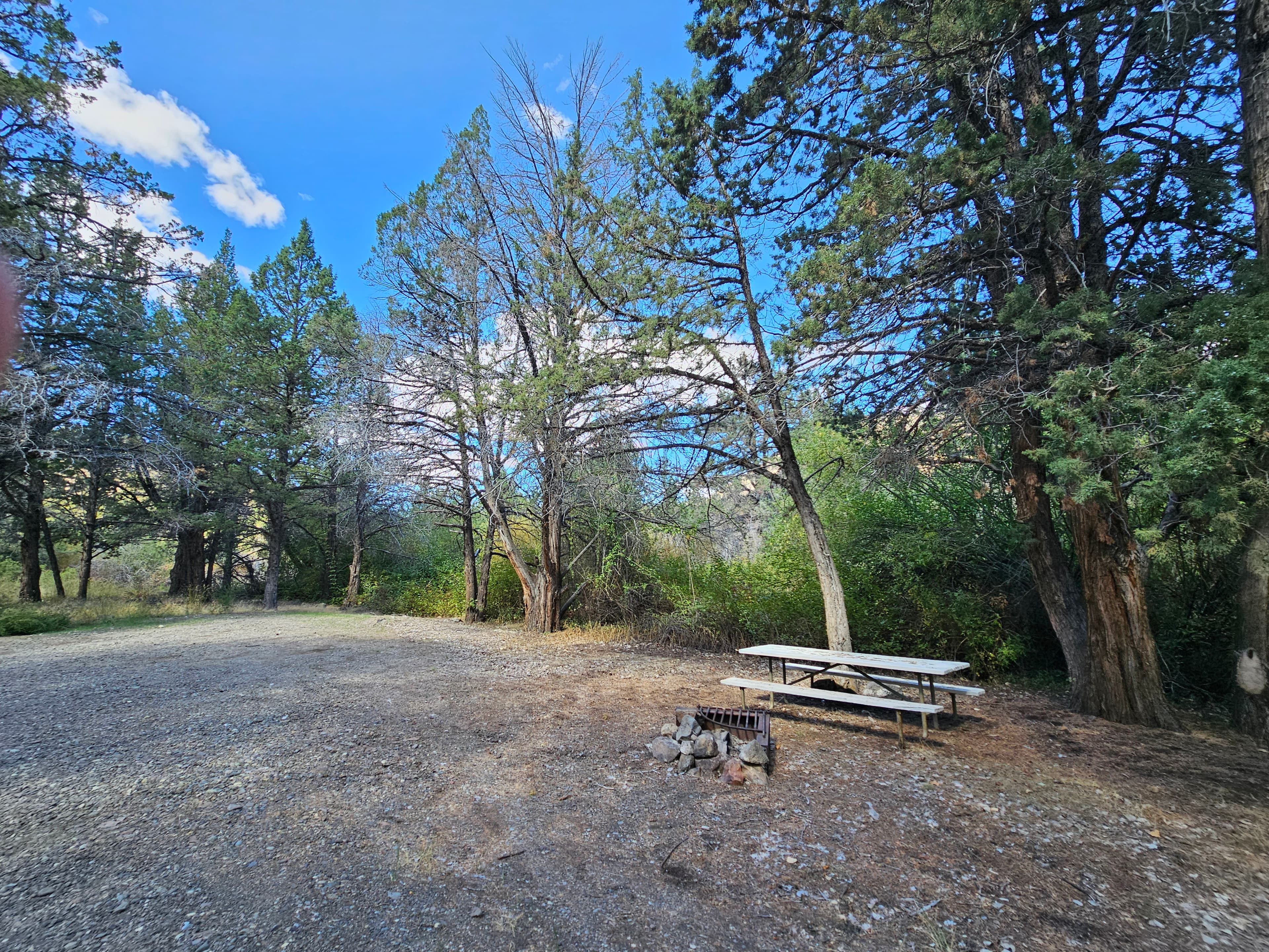 Campsite along North Fork Malheur River