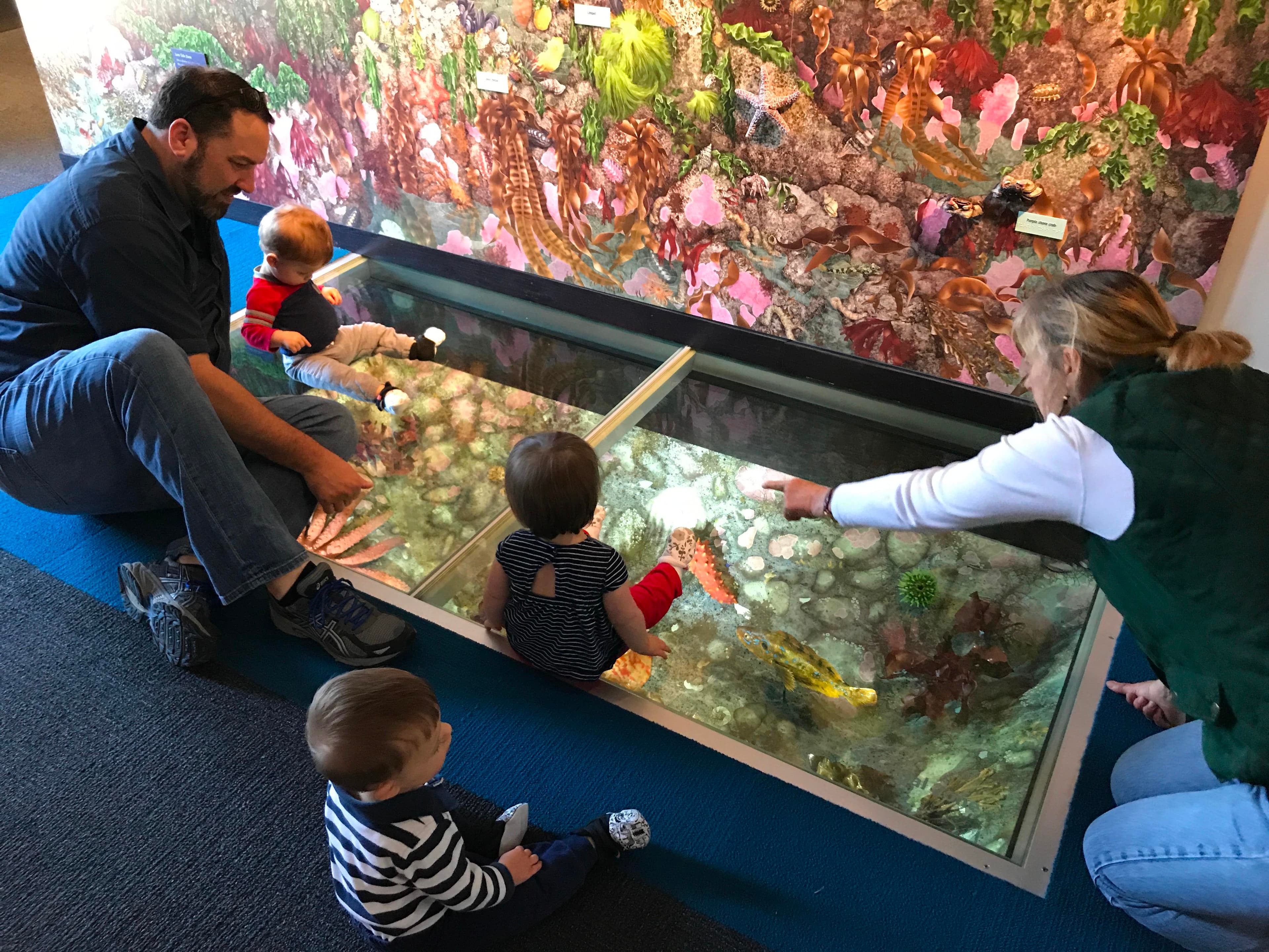 Visitor Center Exhibits