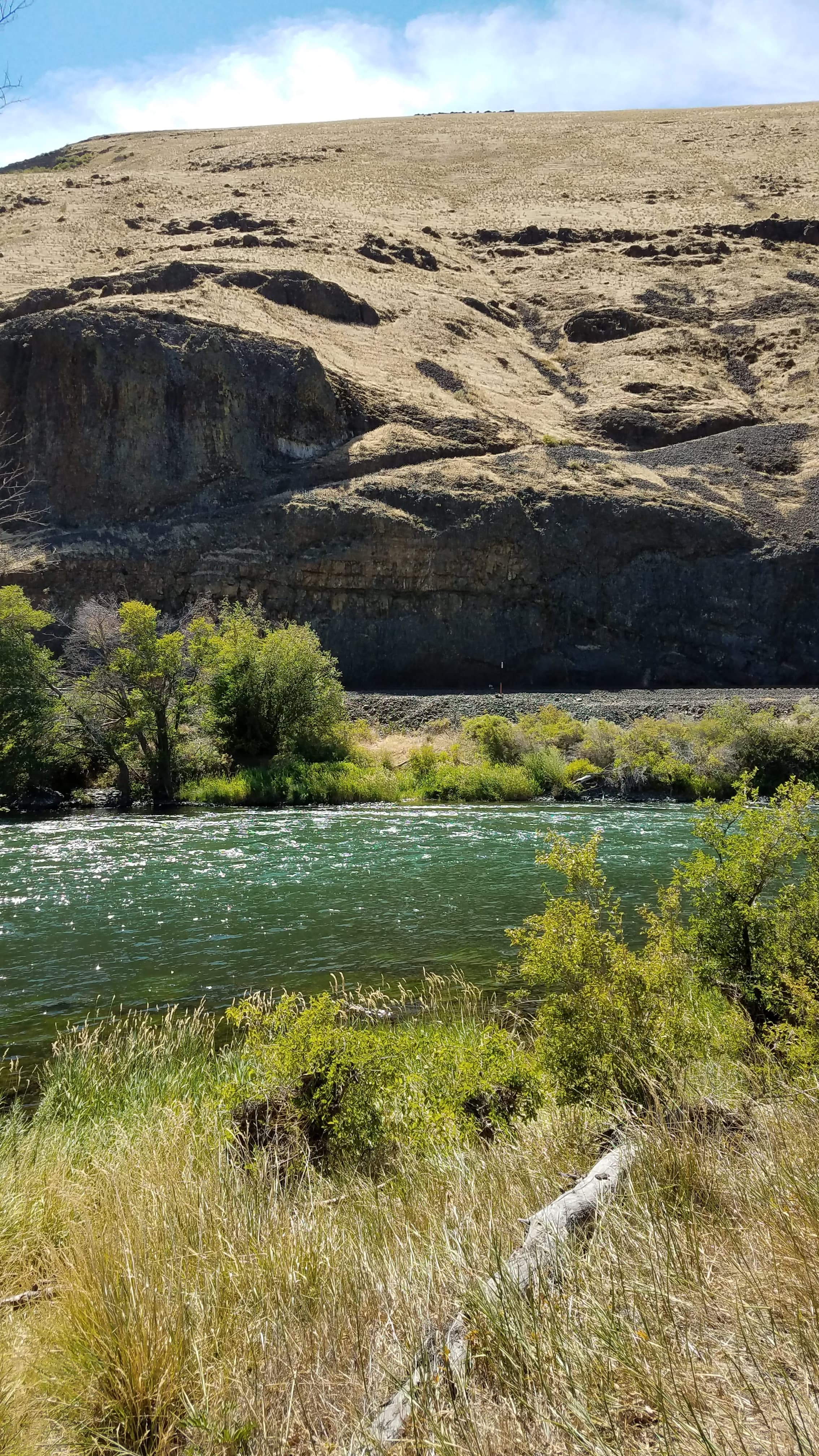 View downstream of Nena Day Use Area.