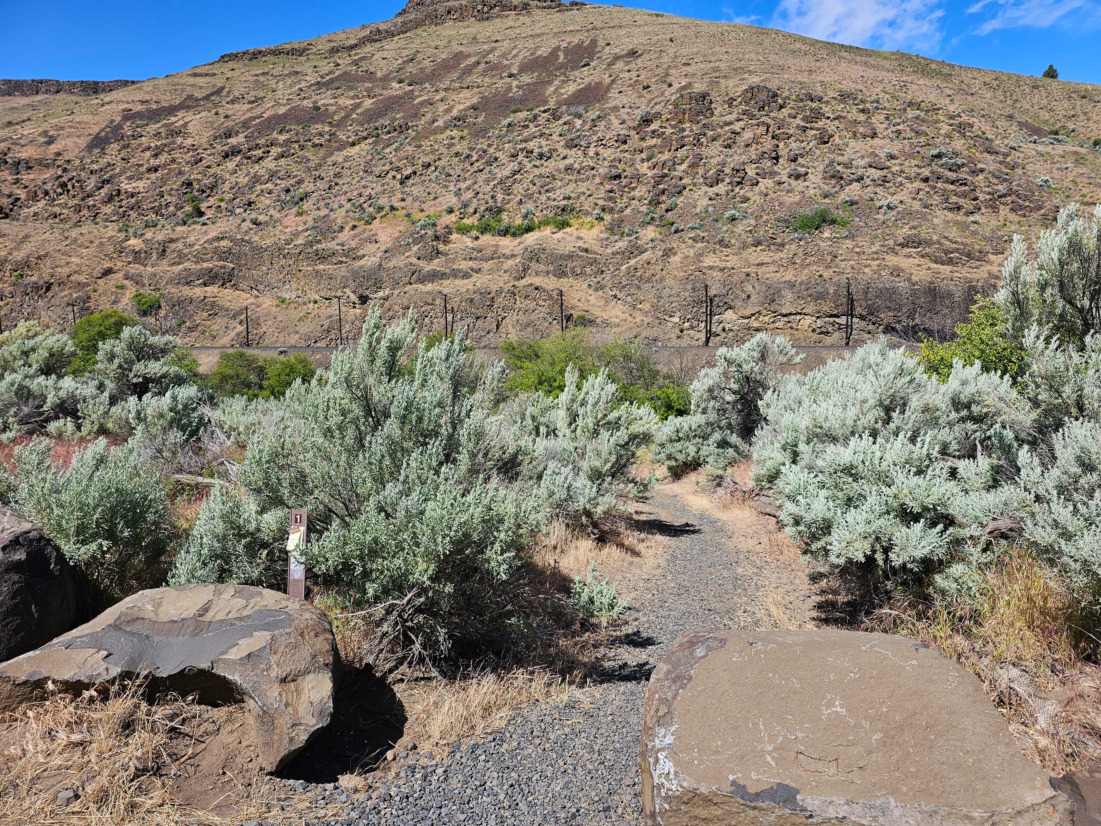Path leading to walk-to campsite 1