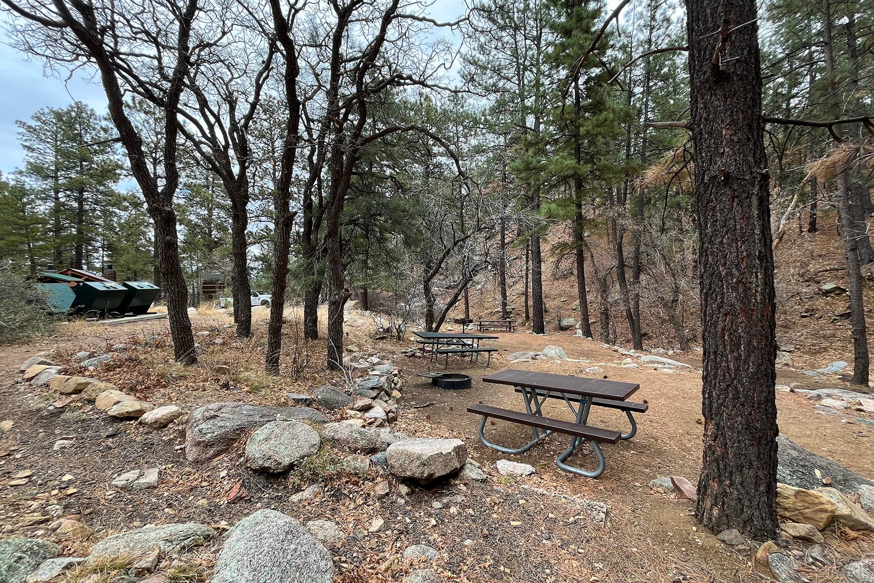 Wild Cow Springs Campground picnic tables