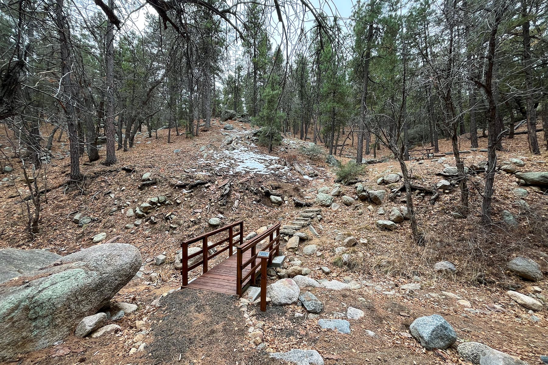 Wild Cow Springs Campground bridge