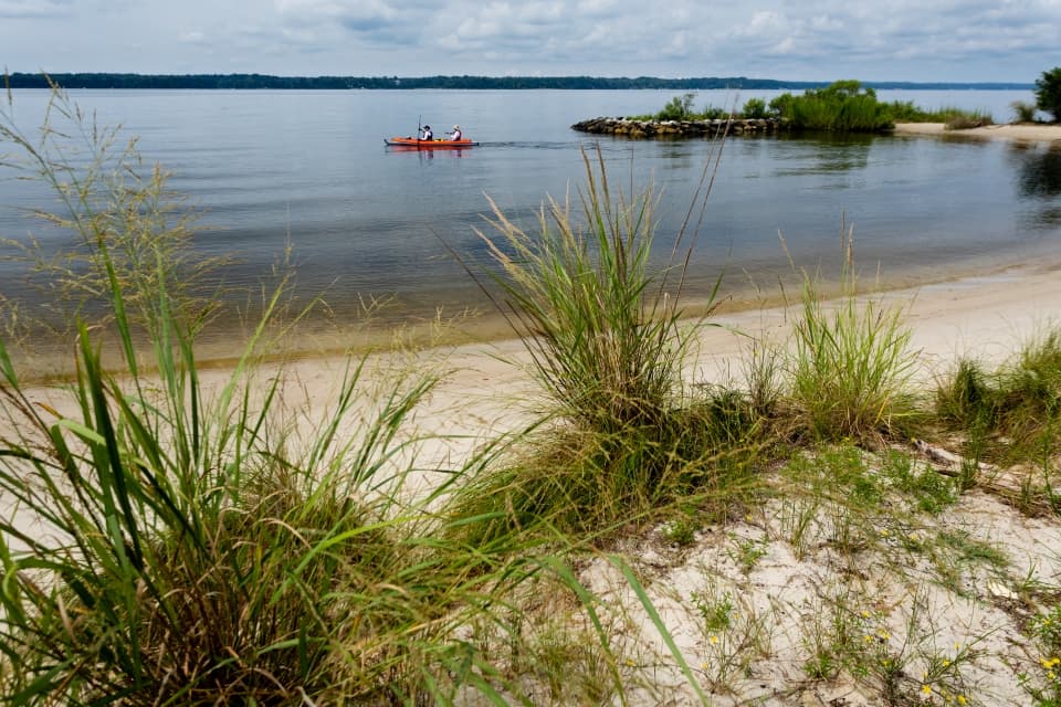 Kayakers on the trail