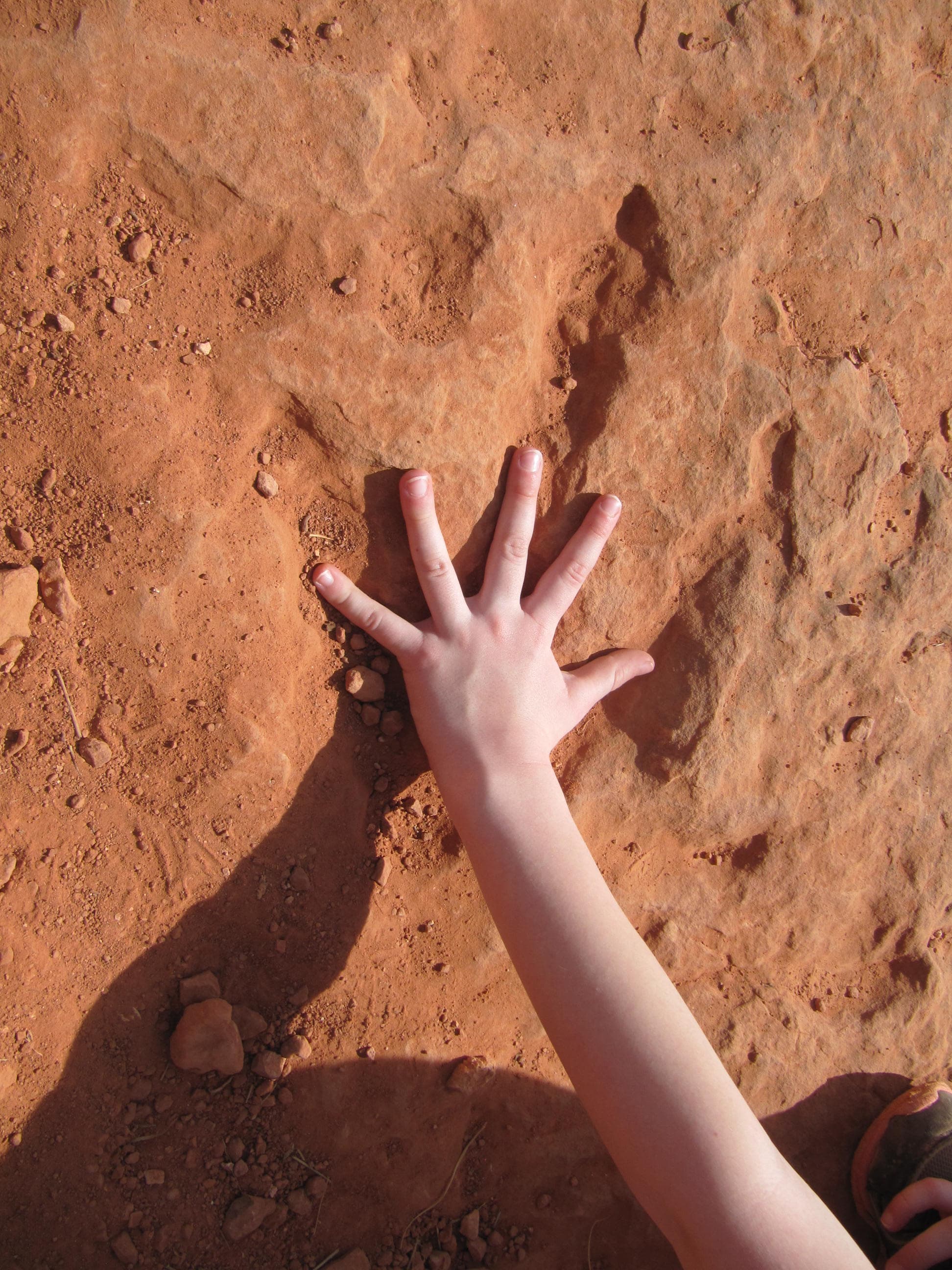 Red Cliff Dinosaur Tracksite