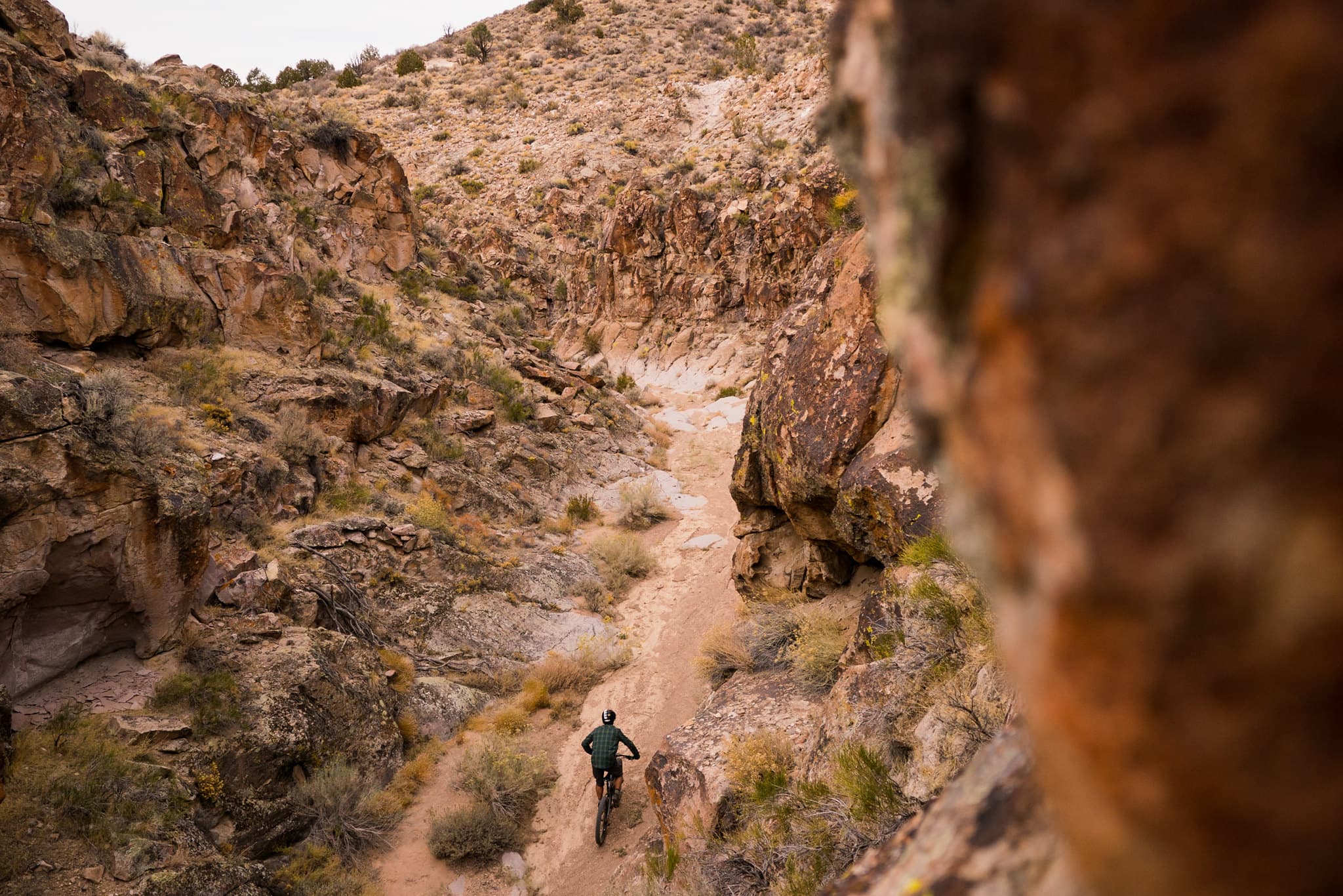 Barnes Canyon Trail