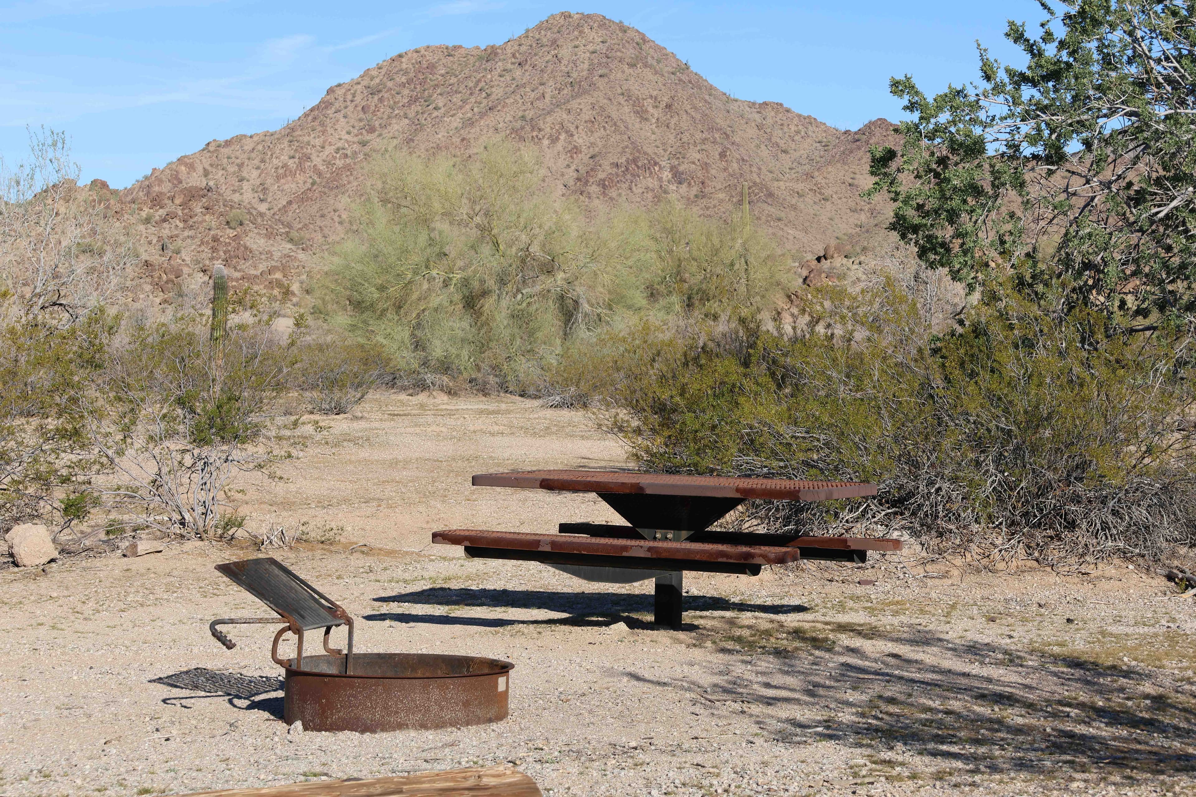 Margies Cove West Campsite
