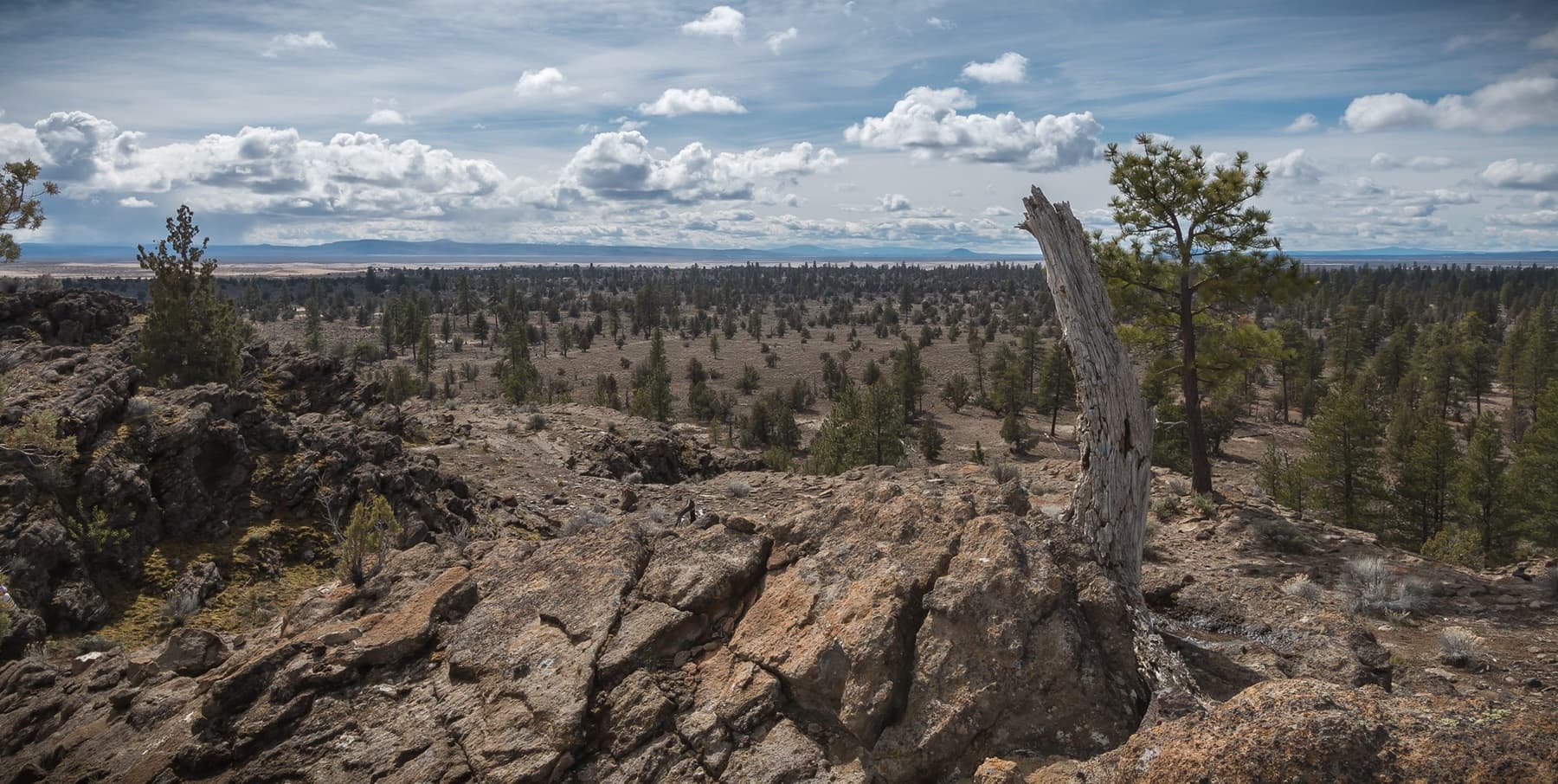 Lost Forest/Dunes/Fossil ACEC