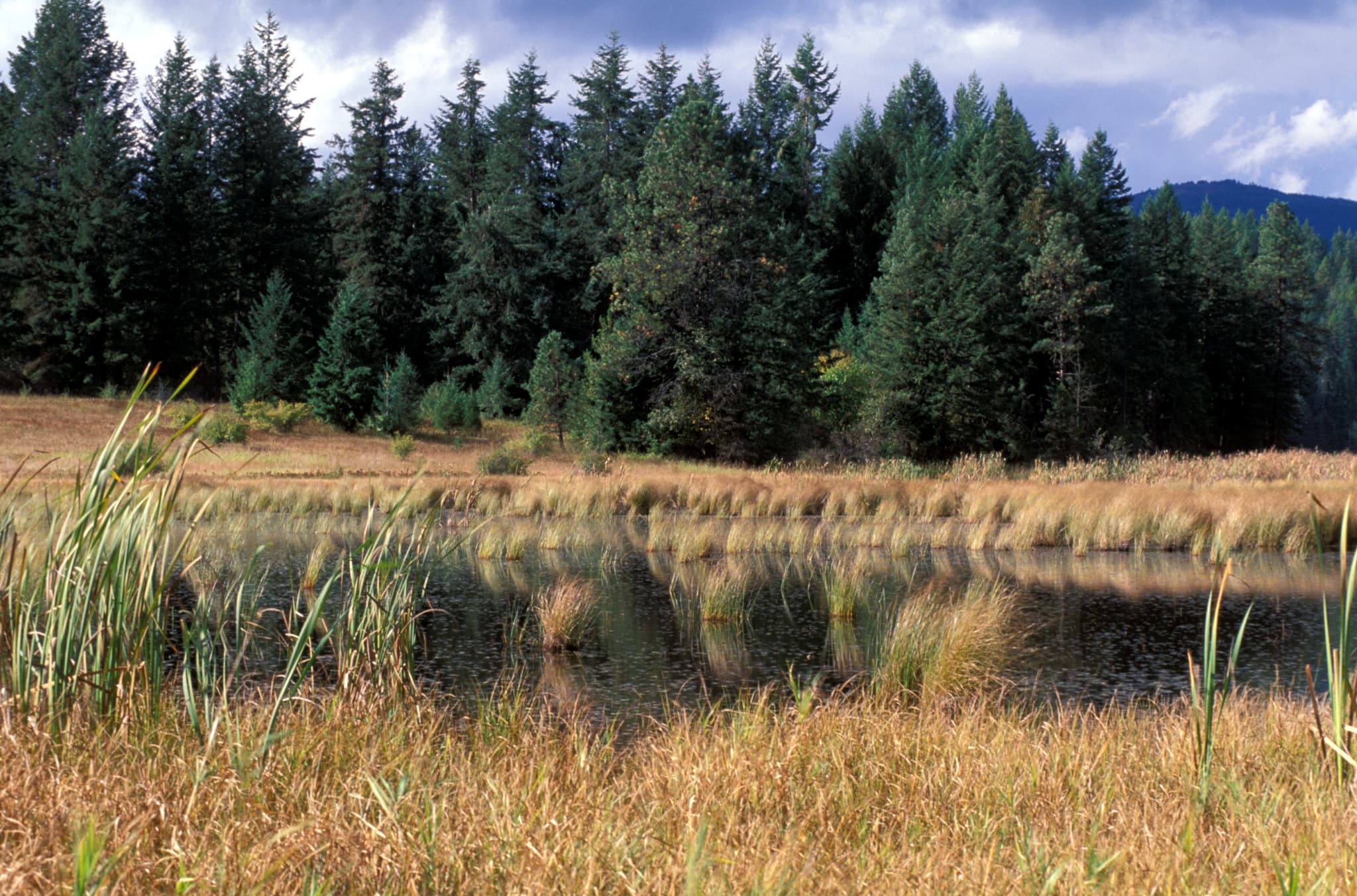 Gamlin Lake