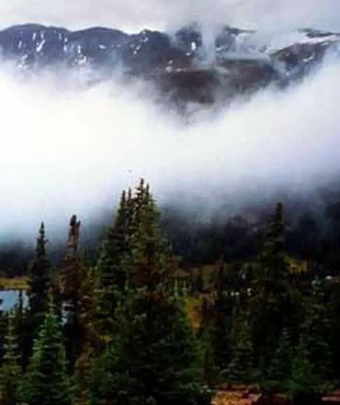 Mount Massive Wilderness