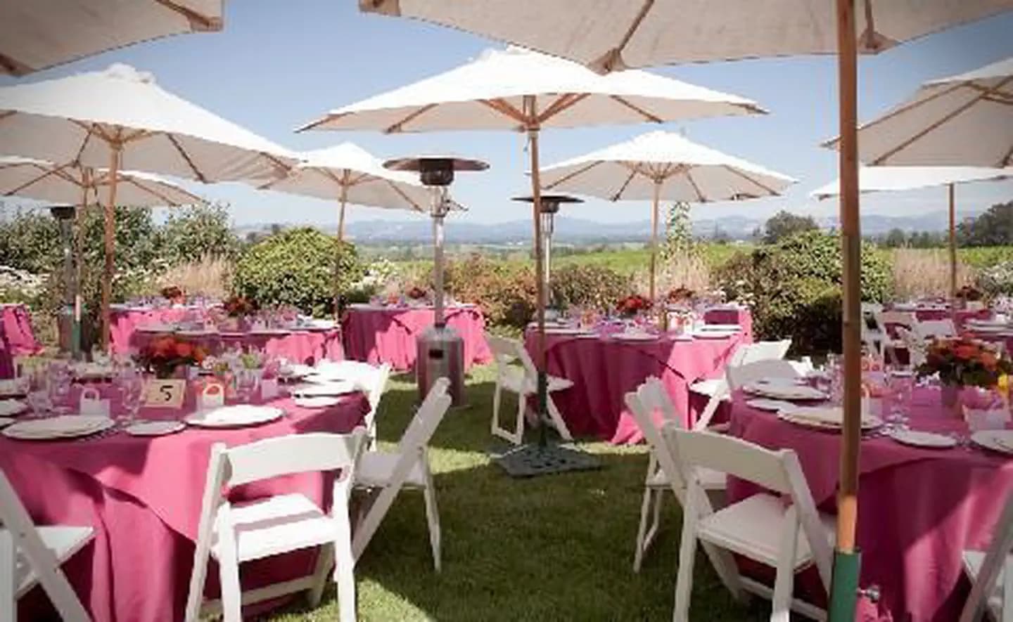 The California Experience