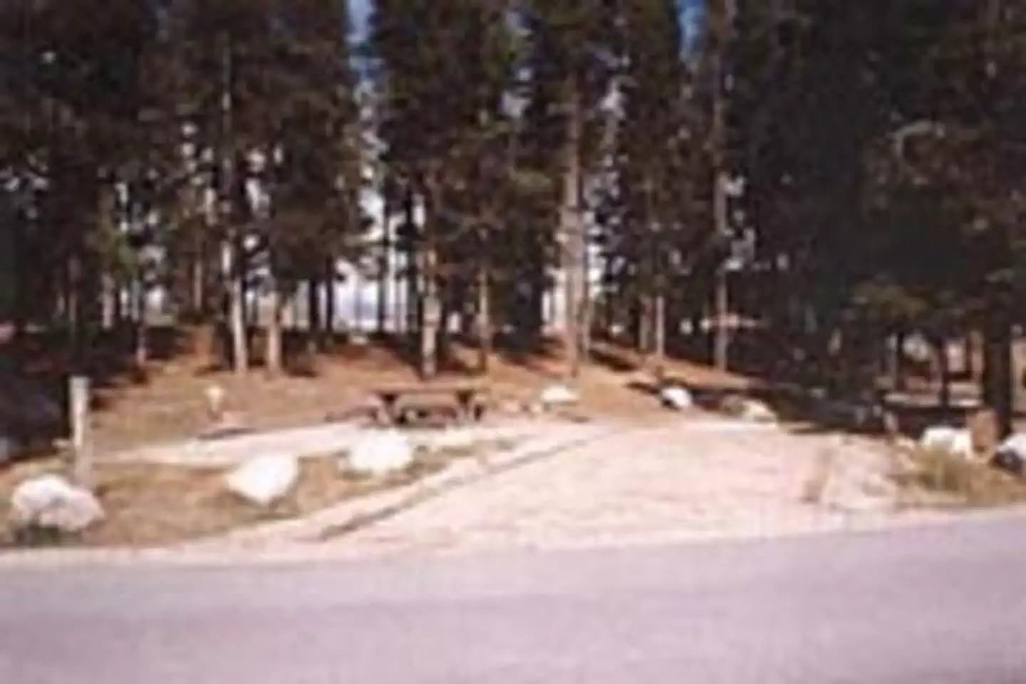 GREEN RIDGE