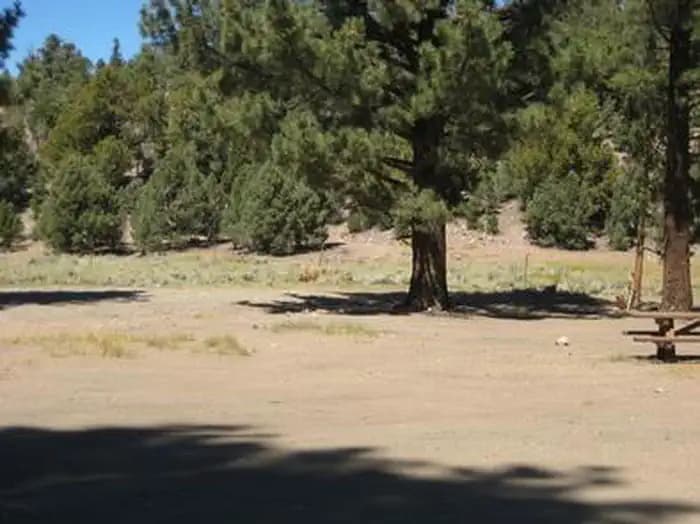 Juniper Springs Group Campground picnic tables