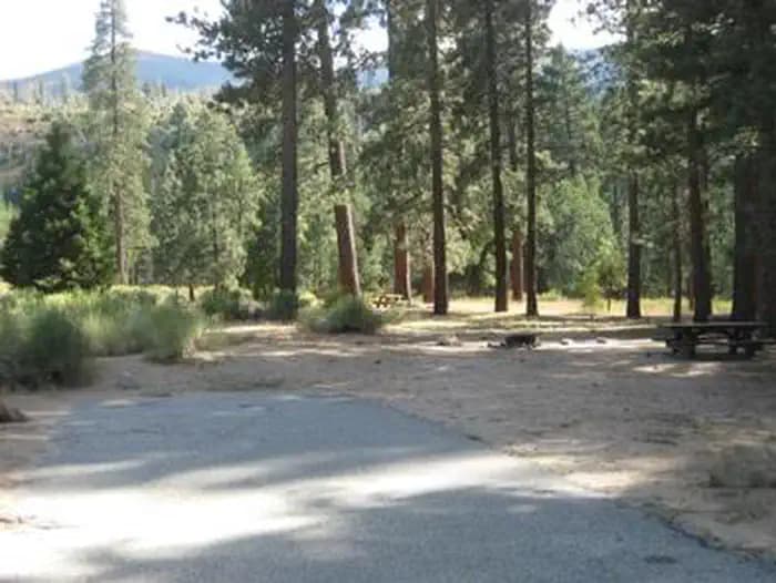 Barton Flats Campground Picnic Tables in the shade