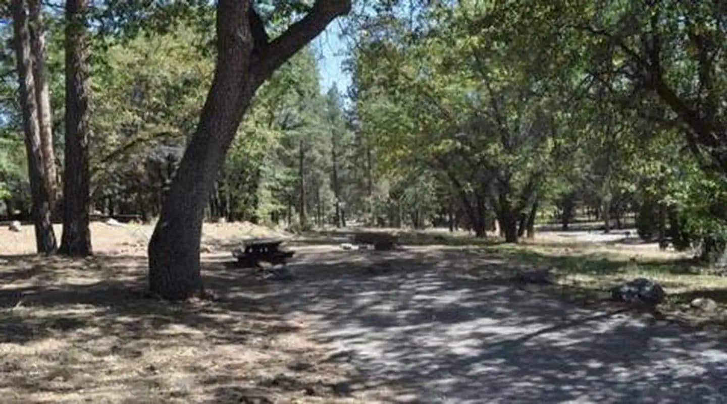 Shade & Picnic Tables of the San Gorgonio Campground...