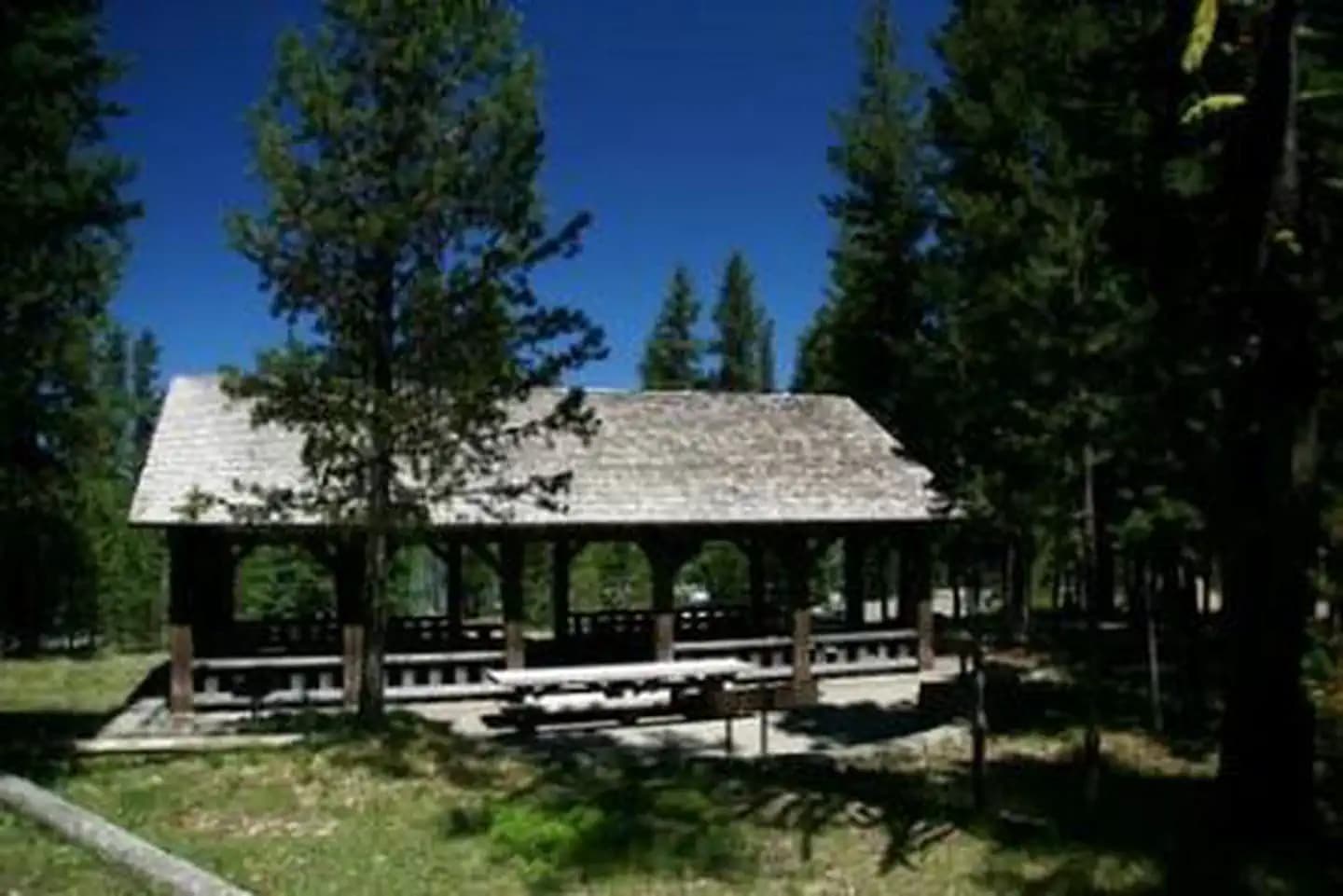 Large, covered picnic pavilion near an open meadow in a pine forest under deep blue sky.