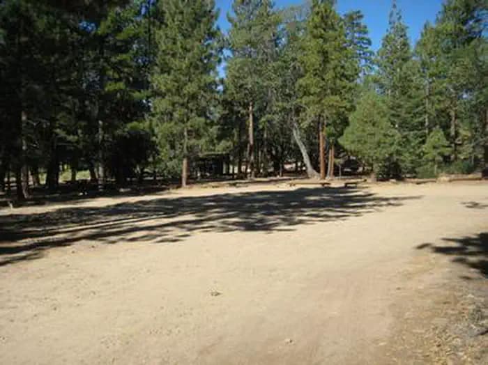 Wide open area at the Lobo Group Campground