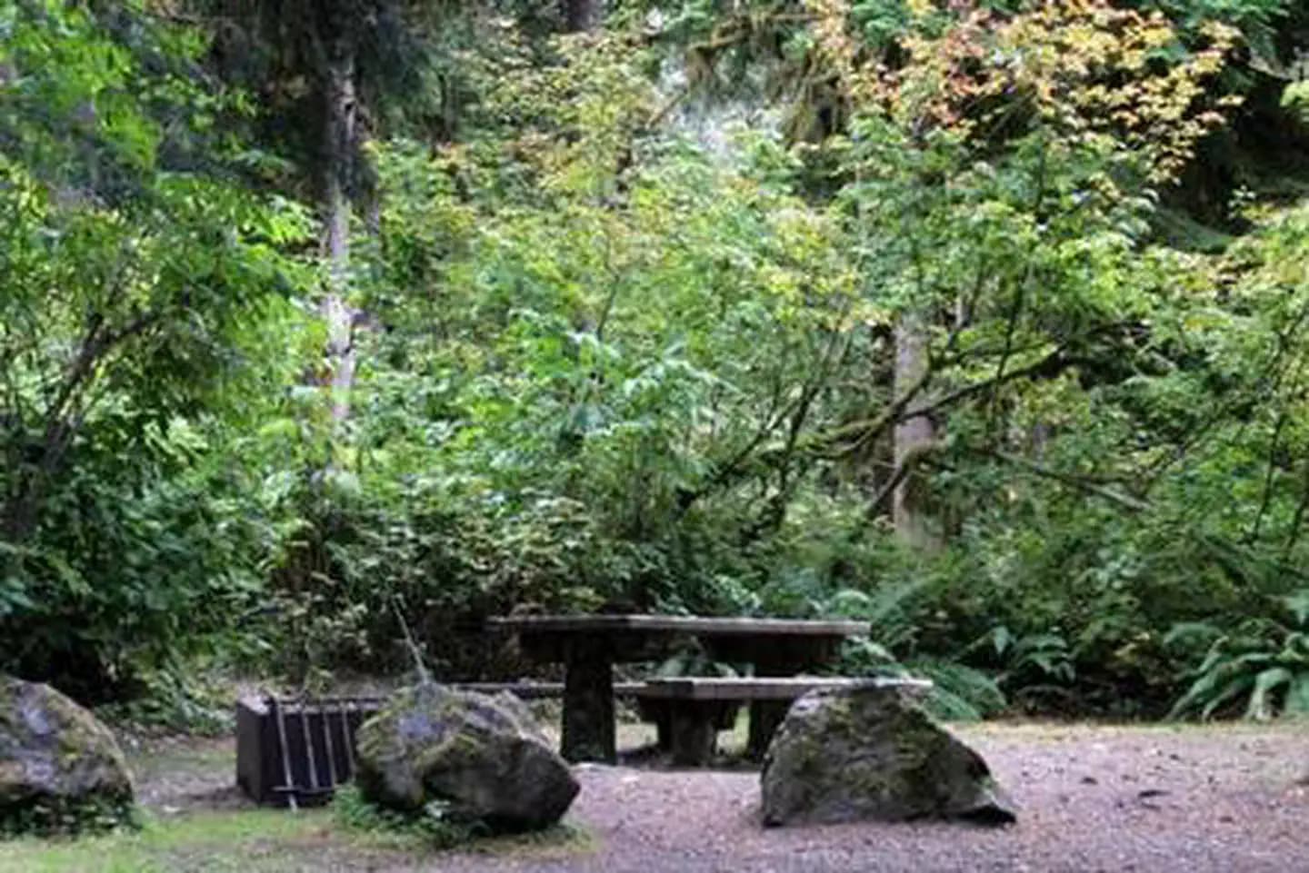 Shannon Creek Campground