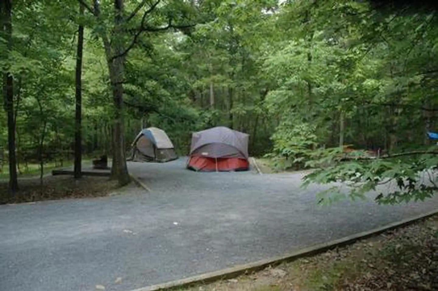 Trout Pond Recreation Area