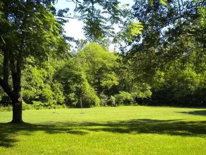 CRAIGS CREEK GROUP AREA