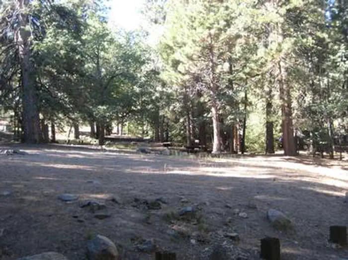Natural Shade at Pineknot Campground