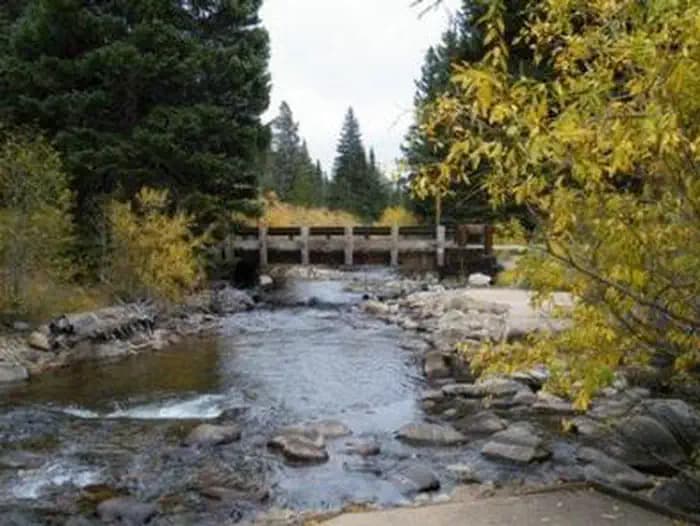 CAMP DICK Bridge over Creek