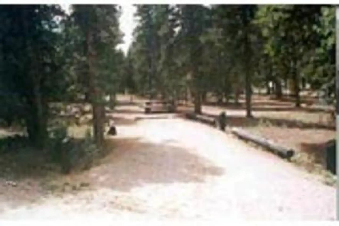 COLUMBINE CAMPGROUND