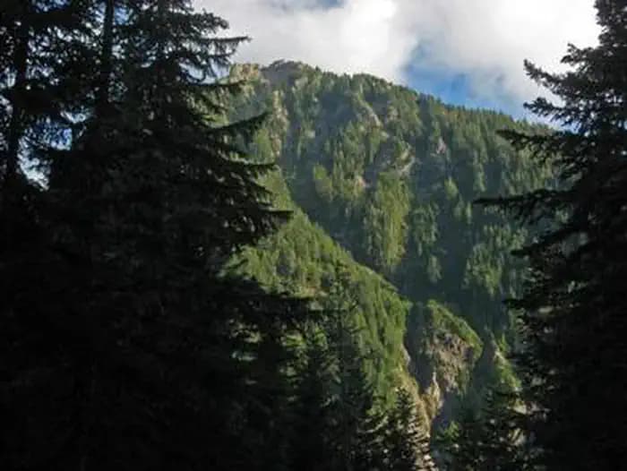 COUGAR ROCK CAMPGROUND