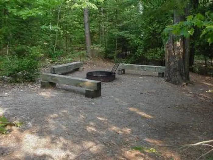 A South Manitou Group campsite with fire ring