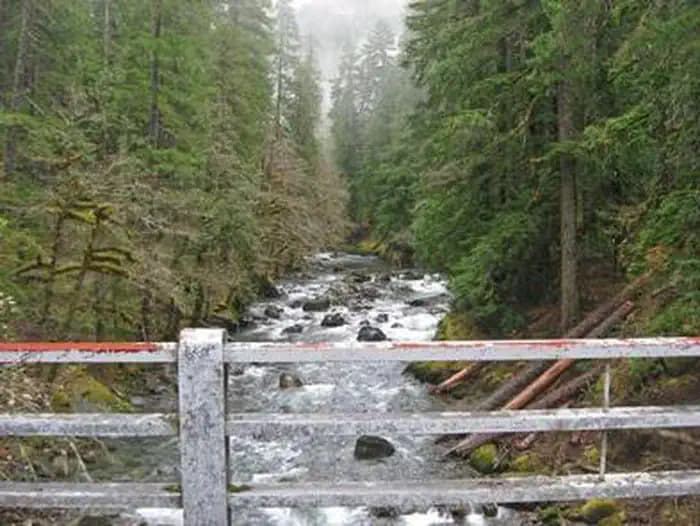 OHANAPECOSH RIVER FROM THE CAMPGROUND BRIDGE