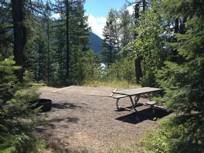 A Fish Creek Campsite surrounded by pine trees.
