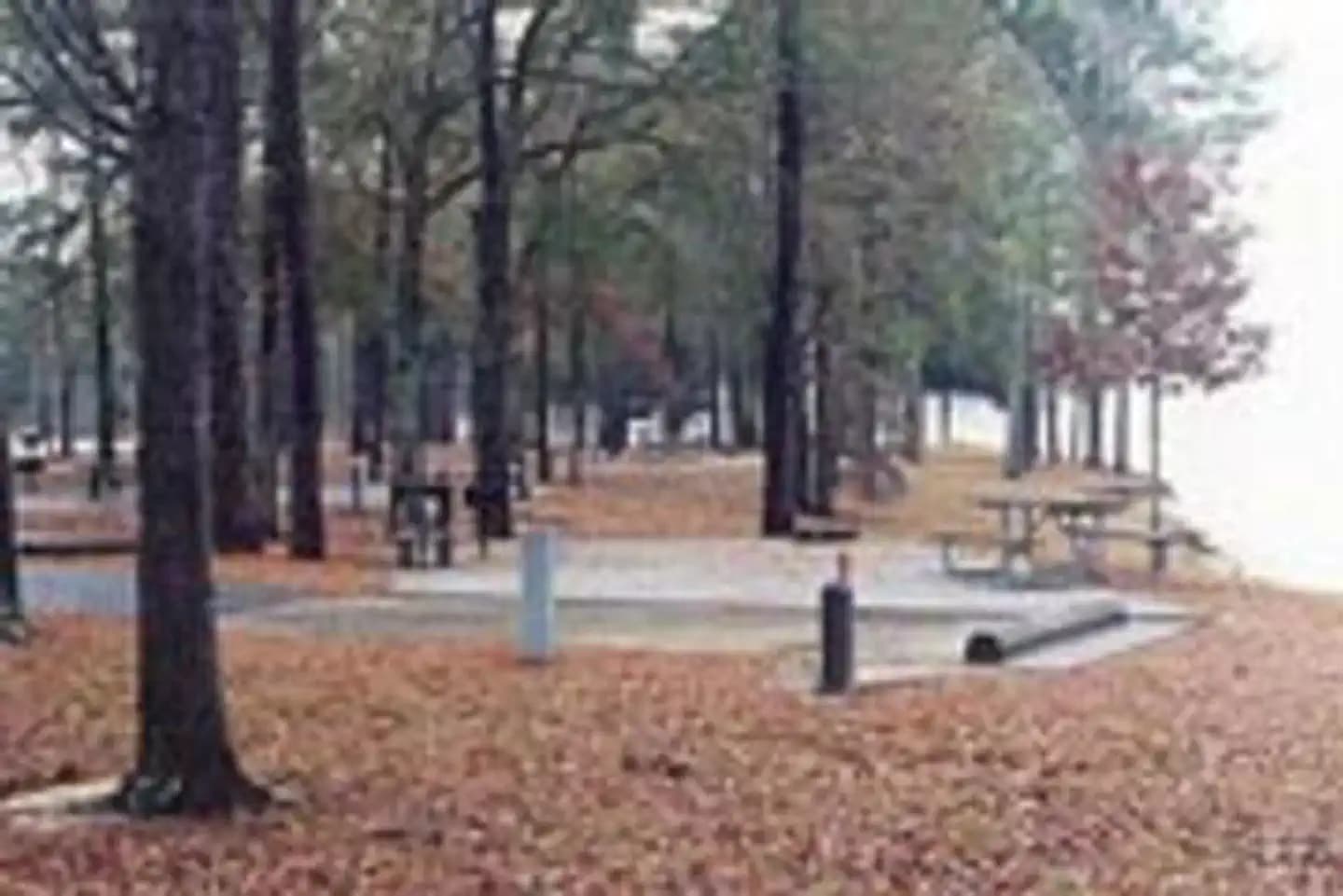 WHITE OAK (CREEK) CAMPGROUND