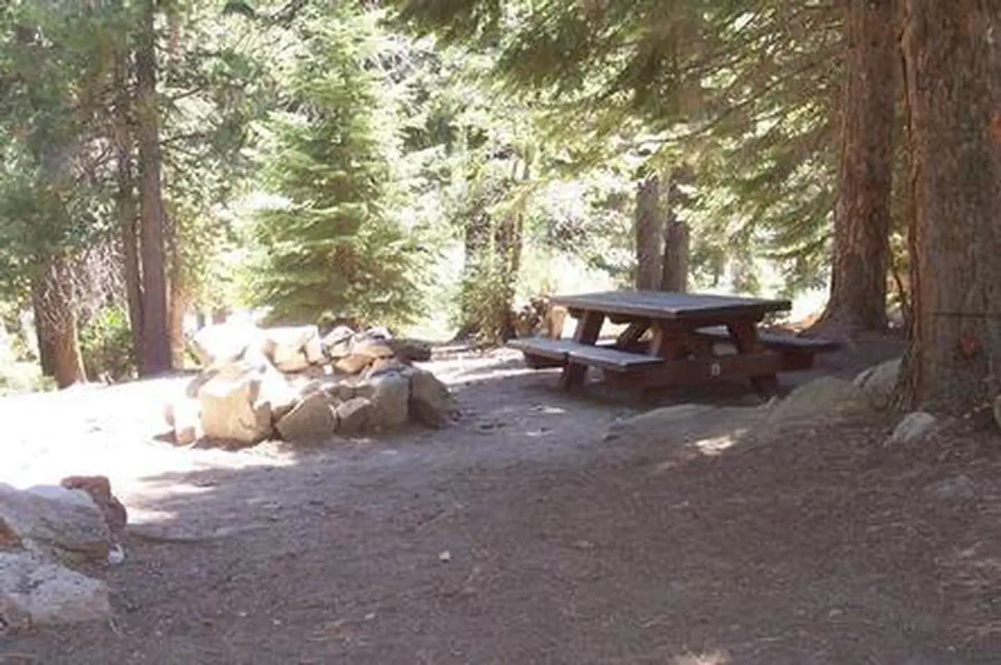 REDWOOD MEADOW