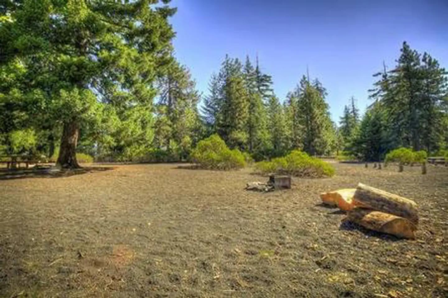 Scout Lake