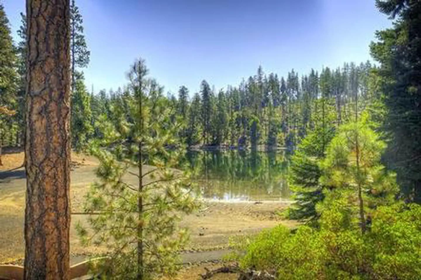 Scout Lake