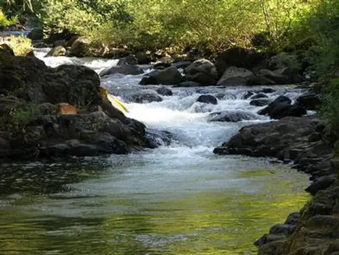 ROARING RIVER
