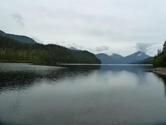 LITTLE SHAHEEN CABIN4