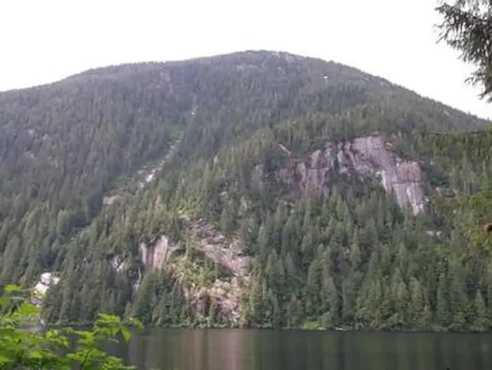 WILSON VIEW CABIN view