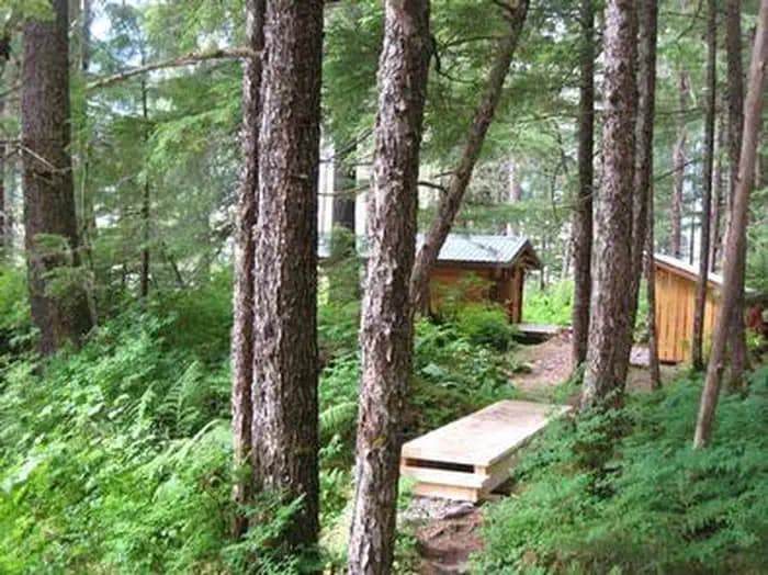 PETERSBURG LAKE CABIN4