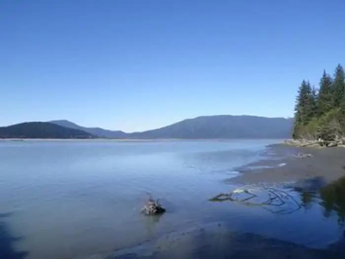 Water with mountains in background and green trees on shoreline