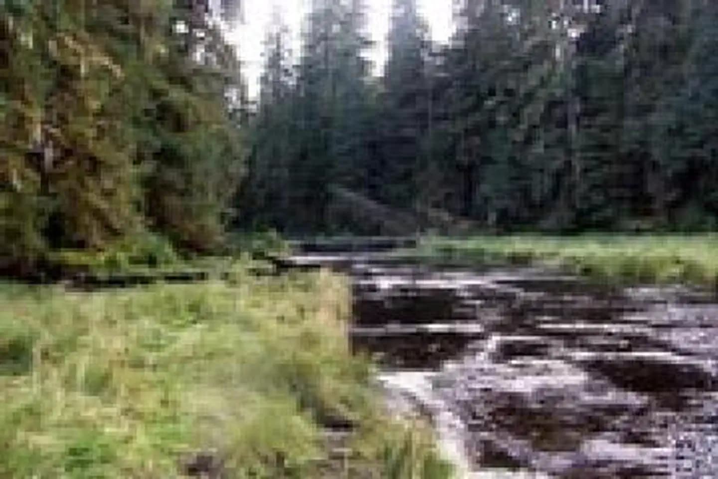 SWEET WATER LAKE CABIN1