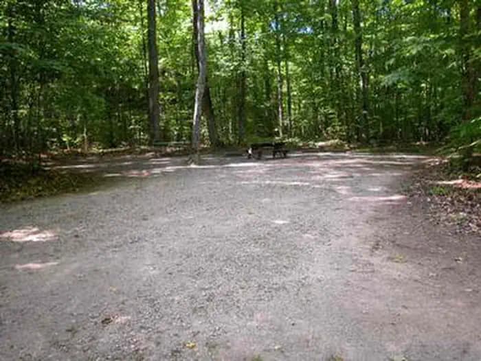 Pete's Lake Campground Site
