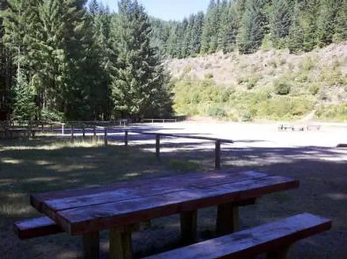 Picnic table in shade across a flat gravel road from a sunny meadow with a shrub and conifer covered backdrop.