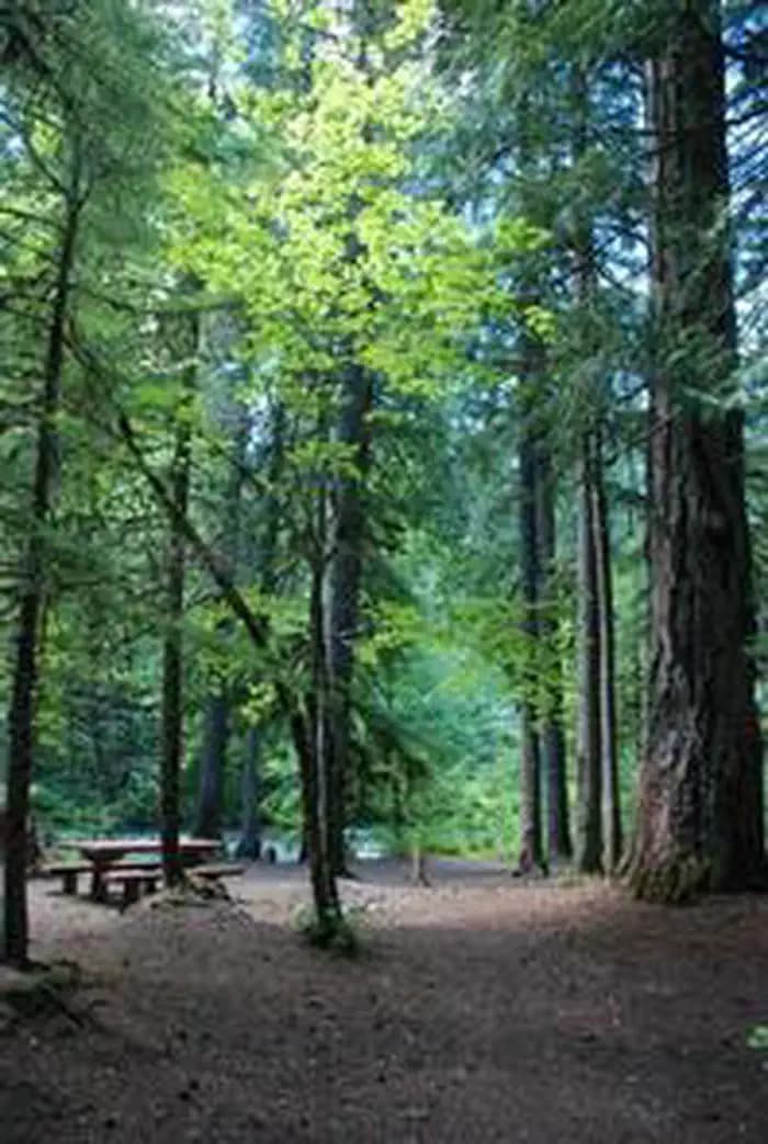 RIVERSIDE AT DETROIT