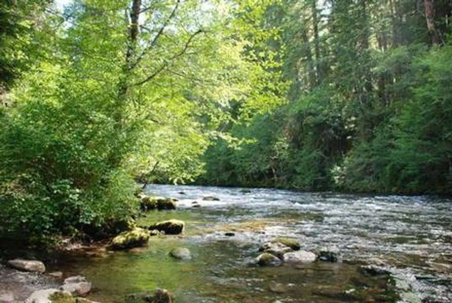 RIVERSIDE AT DETROIT (Willamette National Forest, OR)