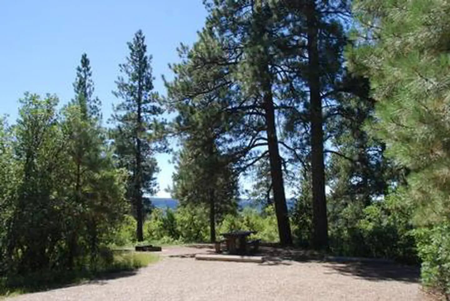 TARGET TREE CAMPGROUND